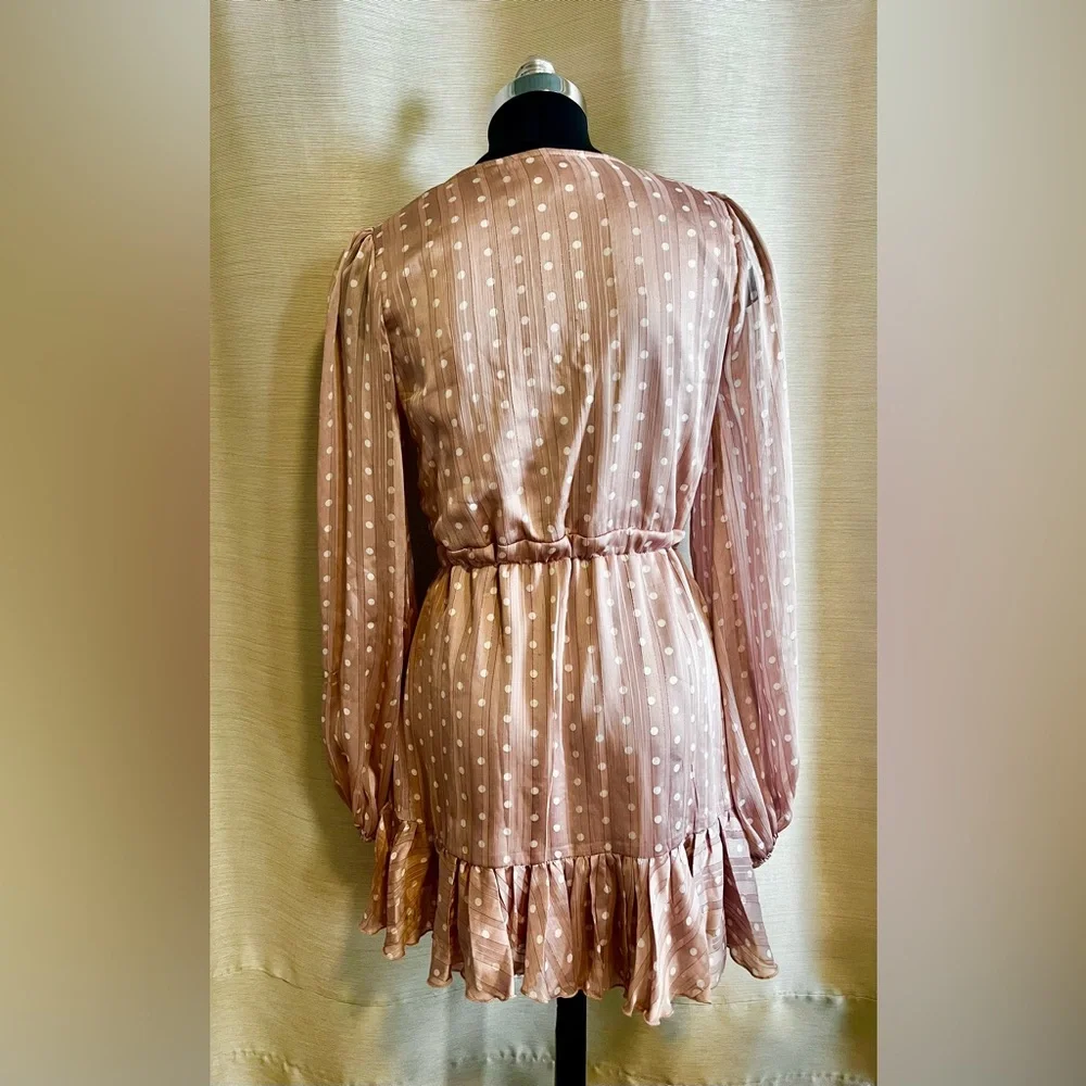 Polka Dot Pink Dress - Picture 5 of 5